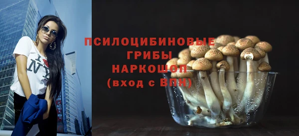 ECSTASY Волосово