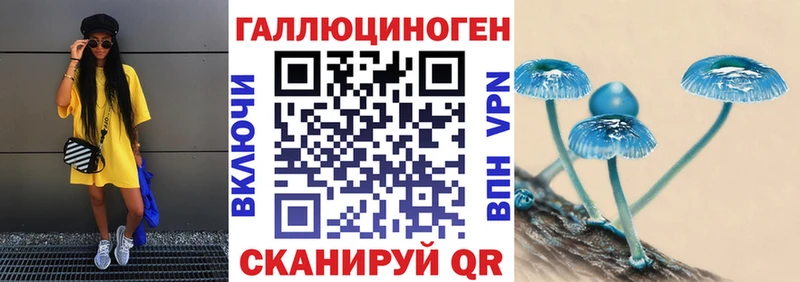 omg рабочий сайт  Северская  Галлюциногенные грибы Psilocybine cubensis  где купить наркотик 