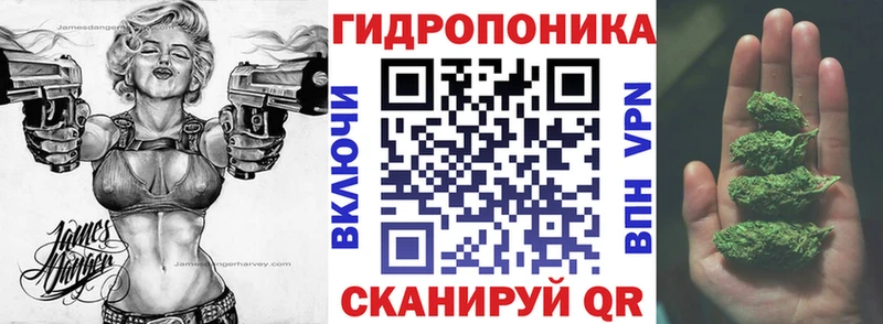 Бошки марихуана OG Kush  MEGA зеркало  Северская 